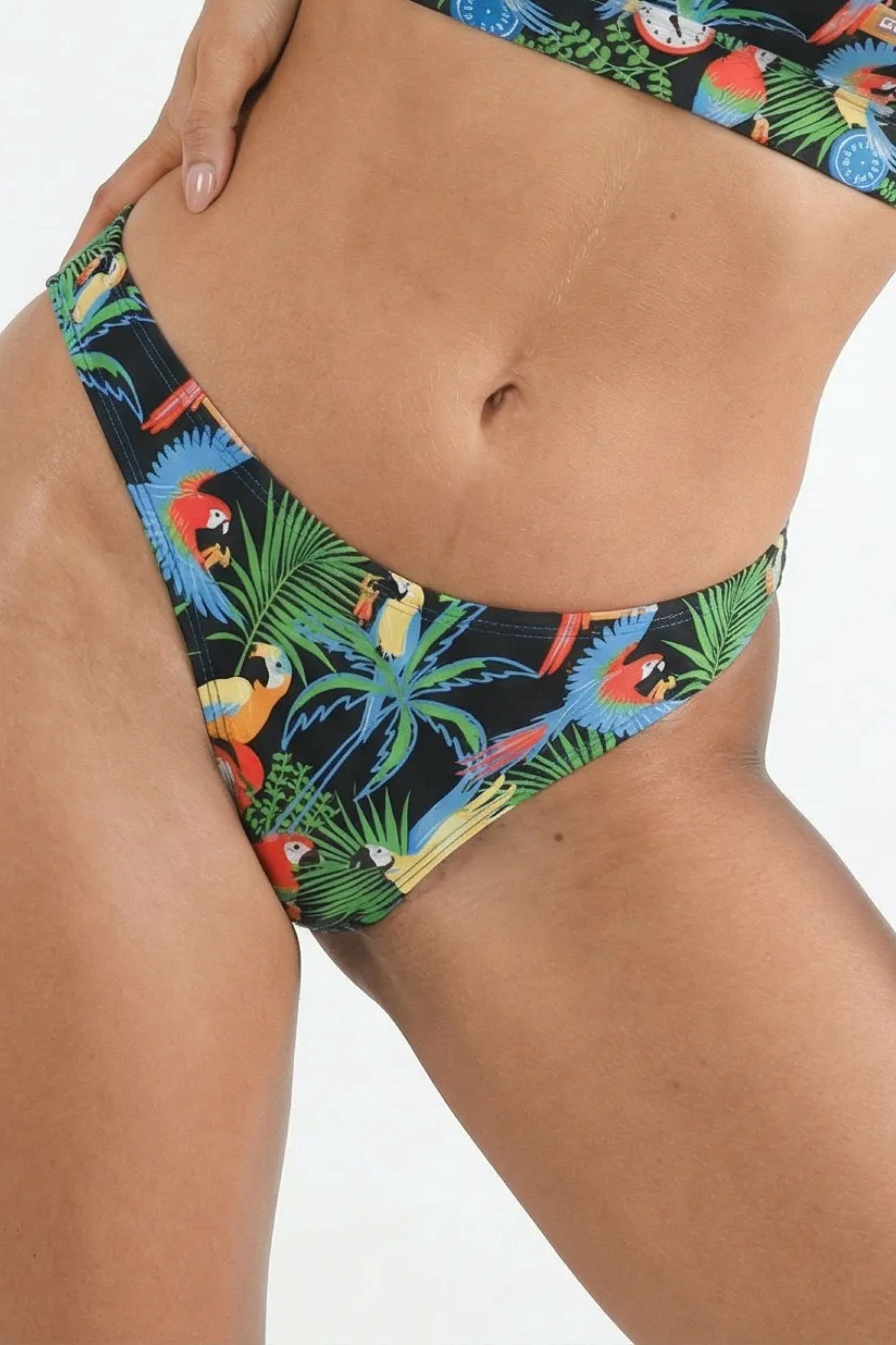 Shinesty MicroModal Thong 5 Pack - Margaritaville® x Shinesty 2026