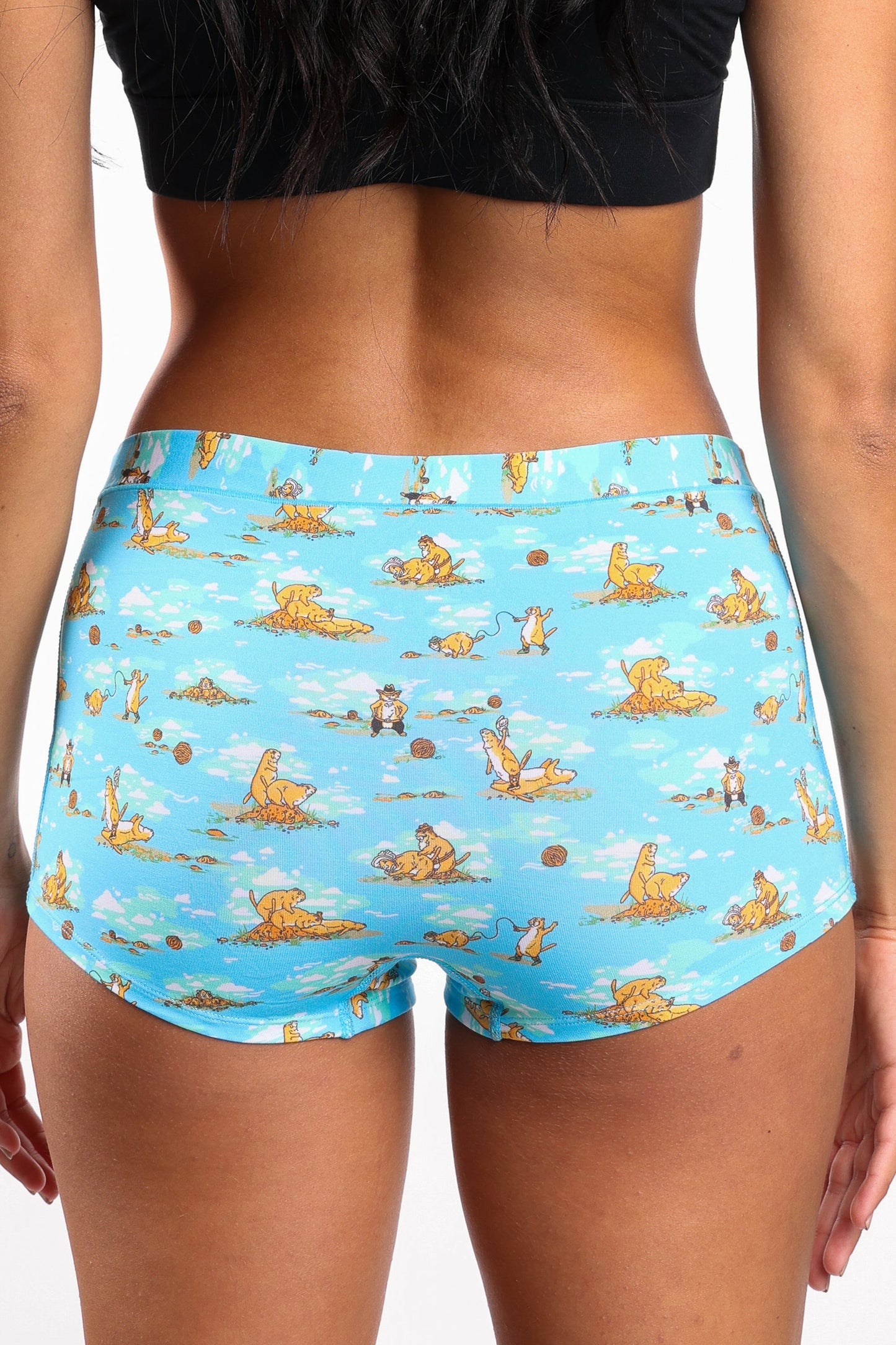Shinesty Boyshort Underwear - Prairie Dog