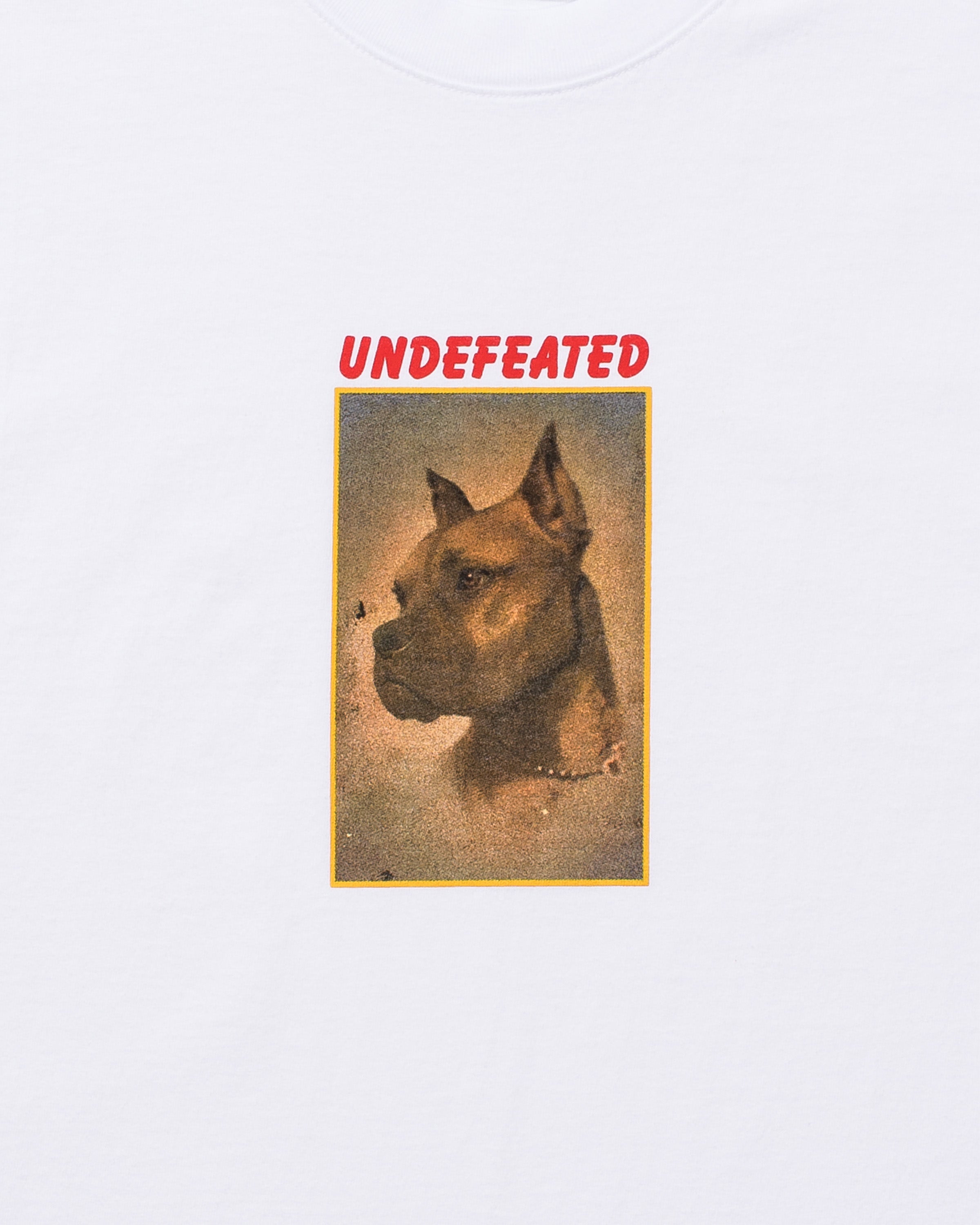 UNDEFEATED LOYAL S/S TEE