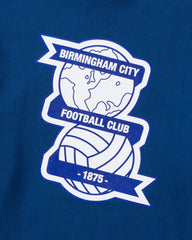 UNDEFEATED X BCFC TEAM HOODIE