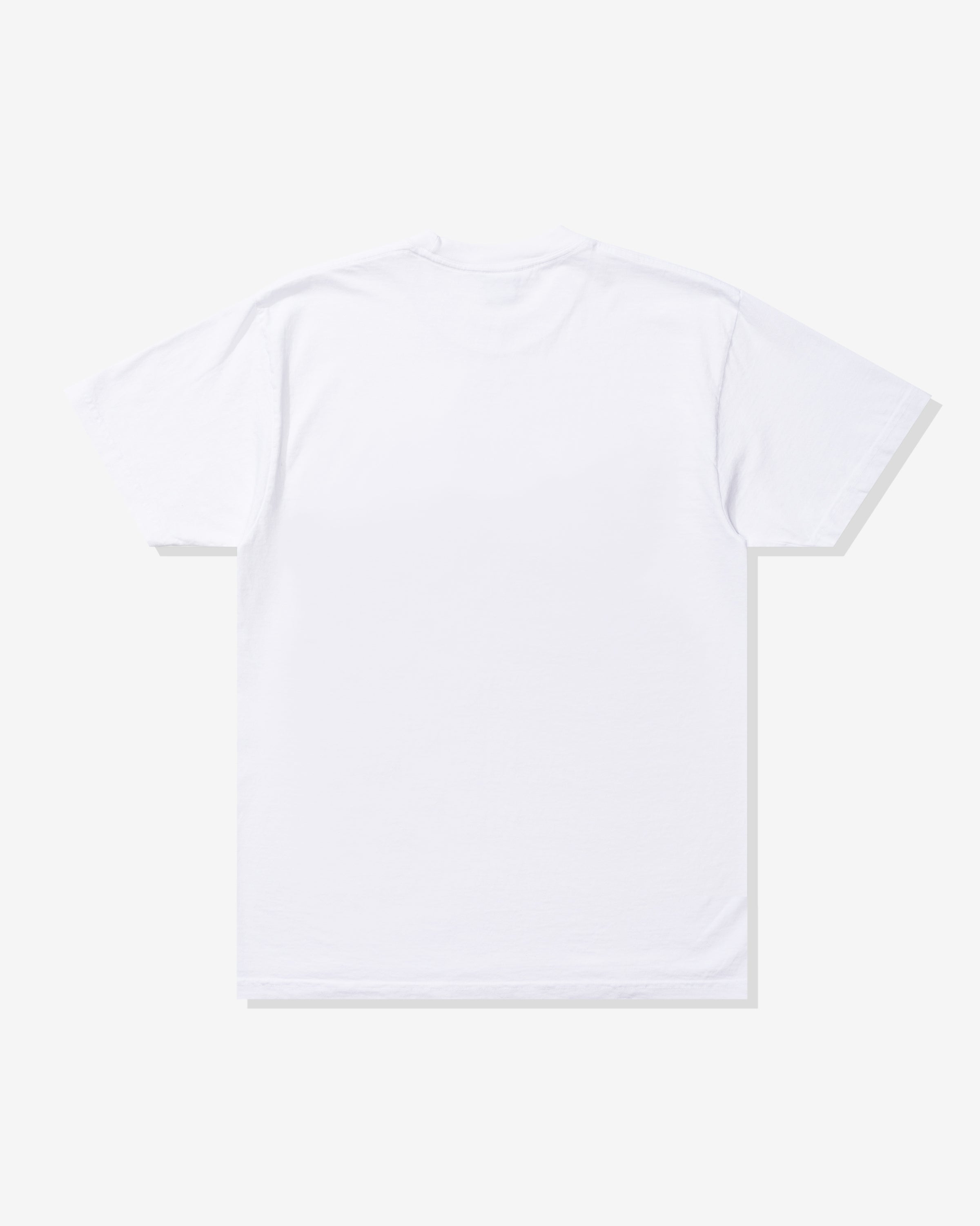 UNDEFEATED REGIONAL S/S TEE - LV