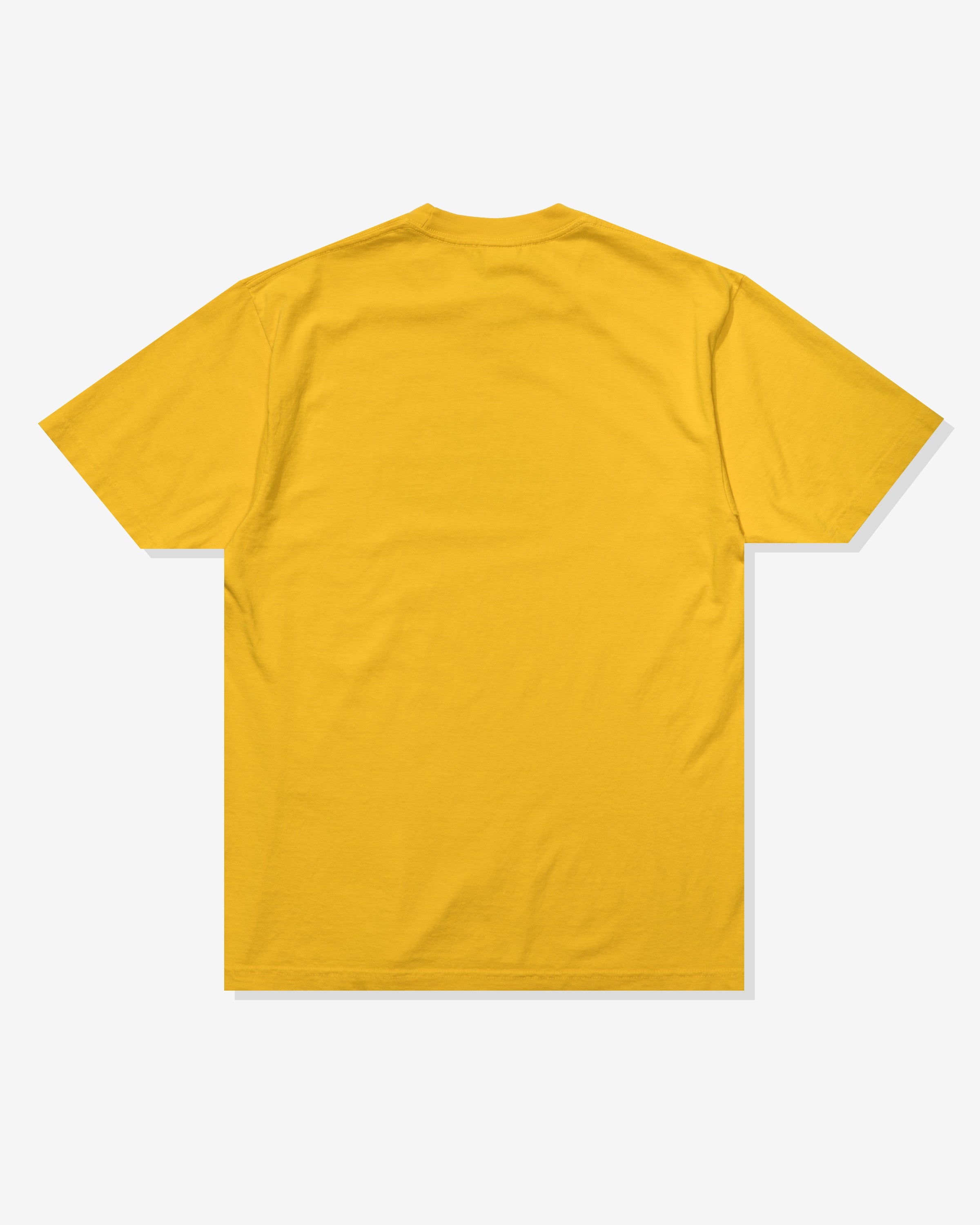 UNDEFEATED DIRTY STATE S/S TEE