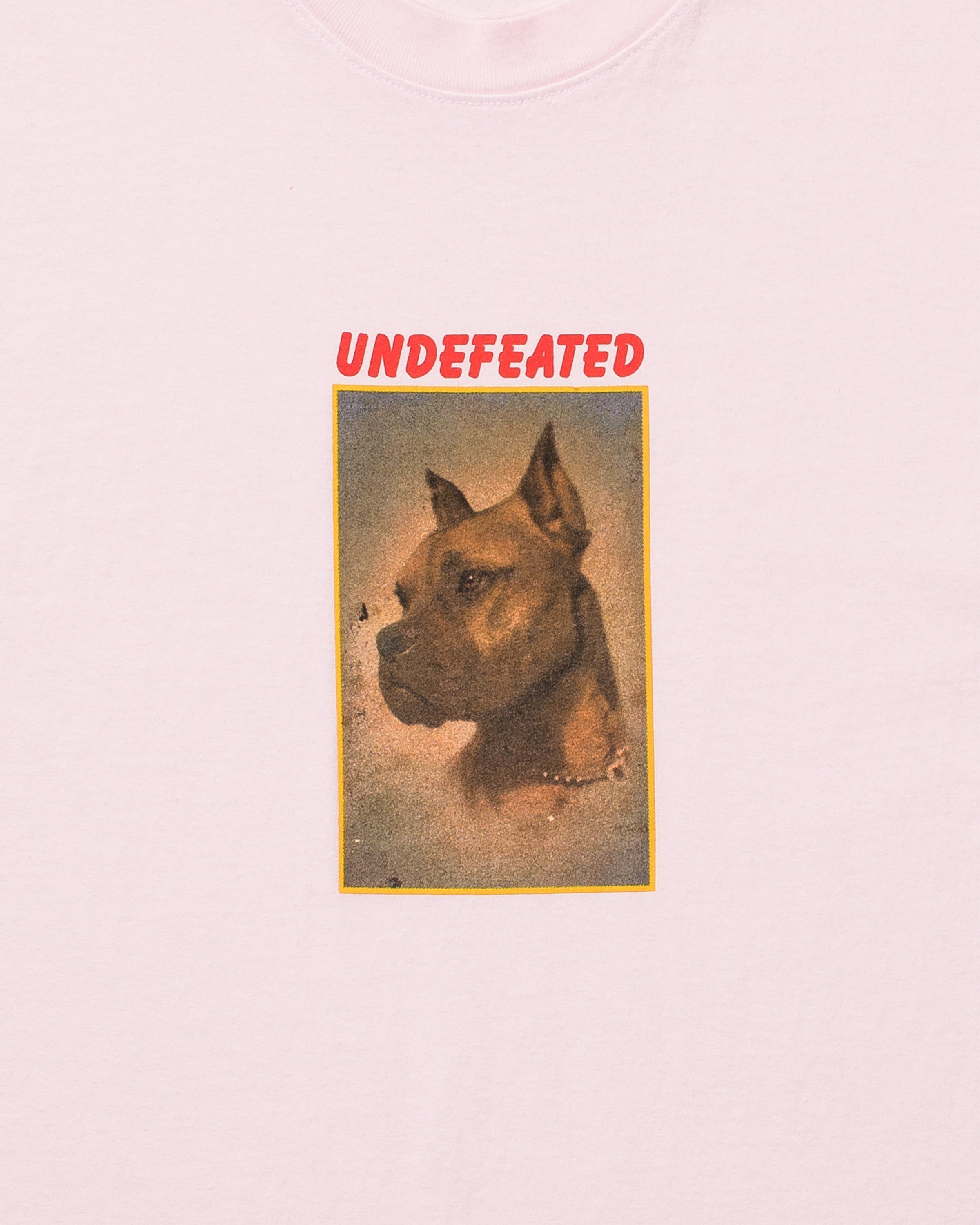 UNDEFEATED LOYAL S/S TEE