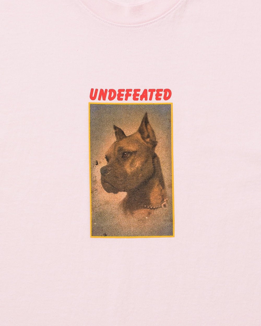 UNDEFEATED LOYAL S/S TEE
