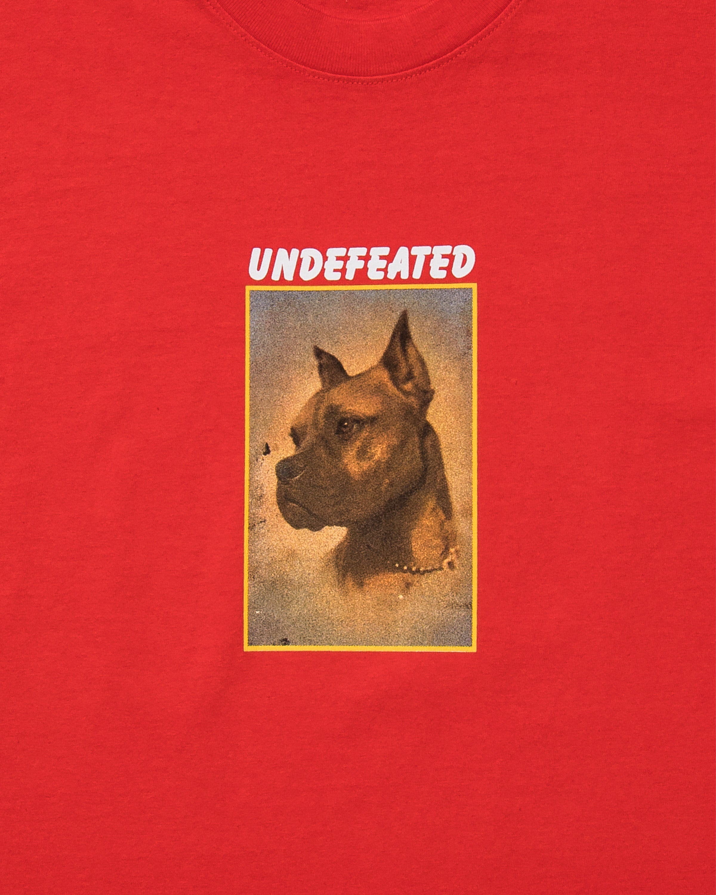 UNDEFEATED LOYAL S/S TEE