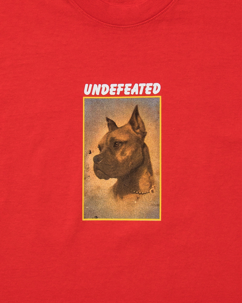 UNDEFEATED LOYAL S/S TEE