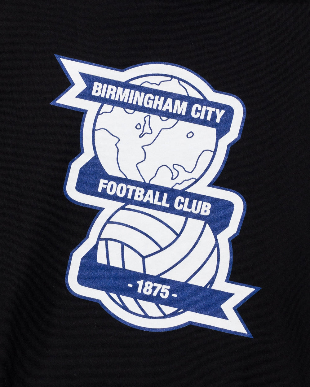 UNDEFEATED X BCFC TEAM HOODIE