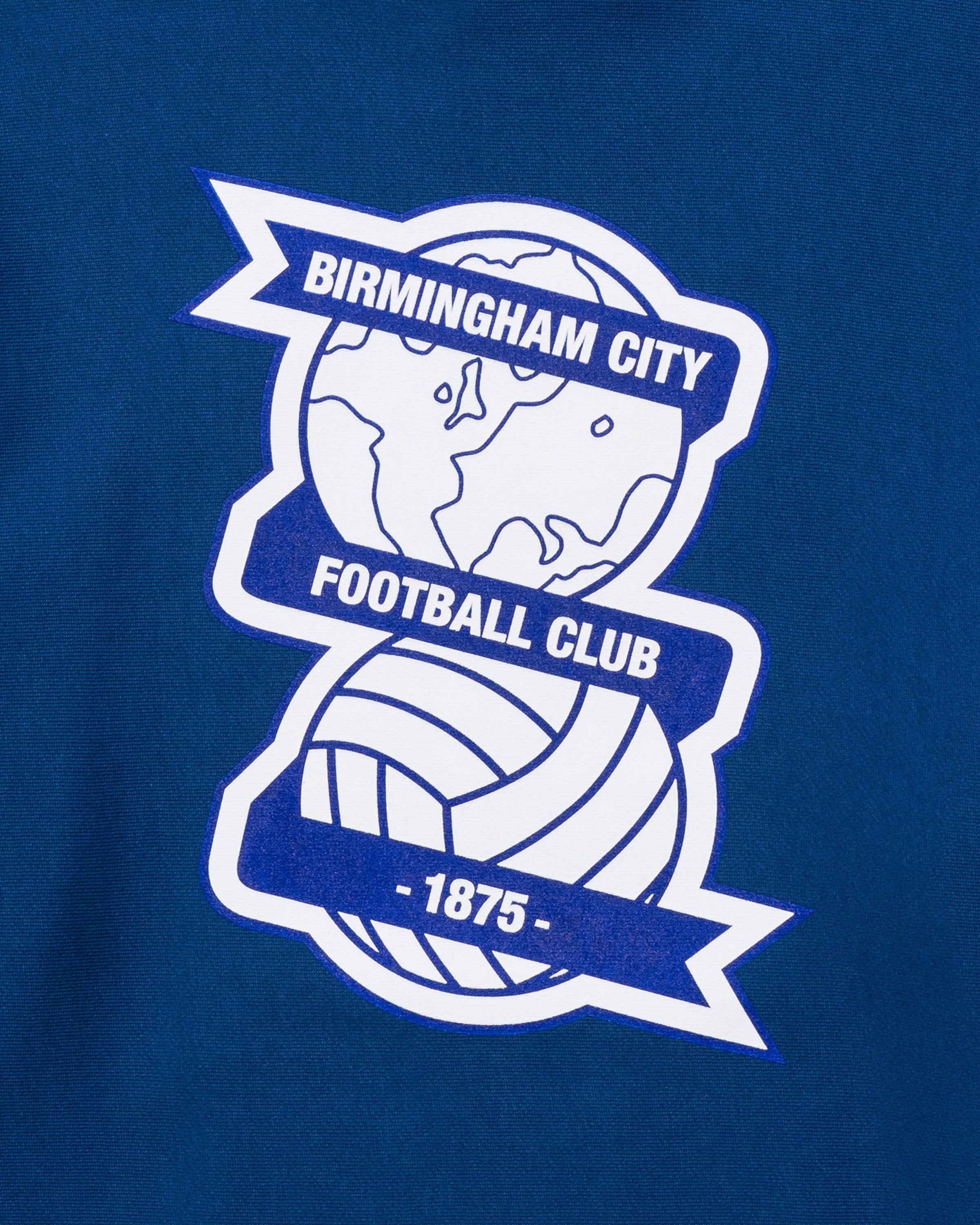 UNDEFEATED X BCFC TEAM HOODIE