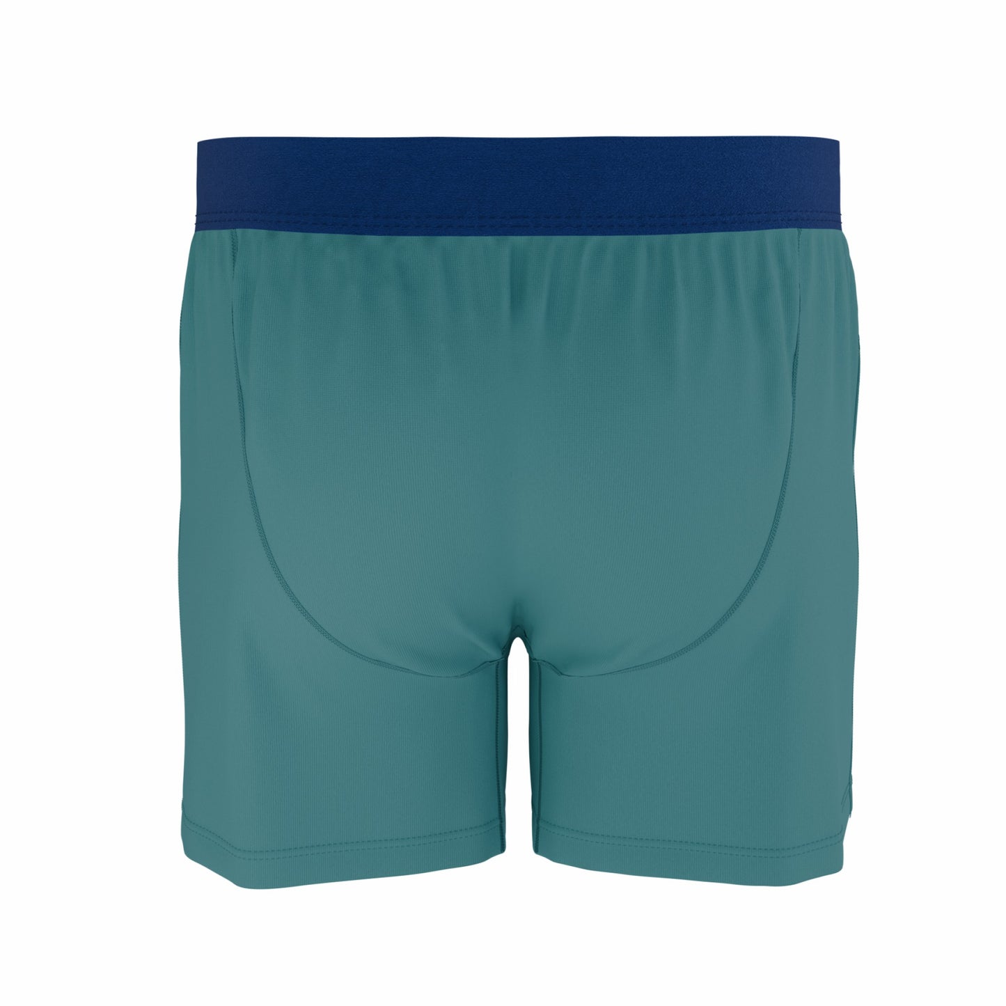 Shinesty Boxer Underwear - Teal
