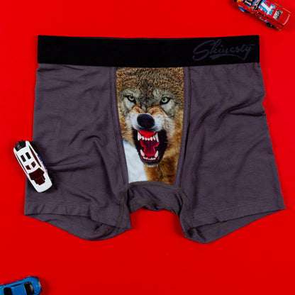 Shinesty Youth Boxer Briefs 2 Pack - Timeless
