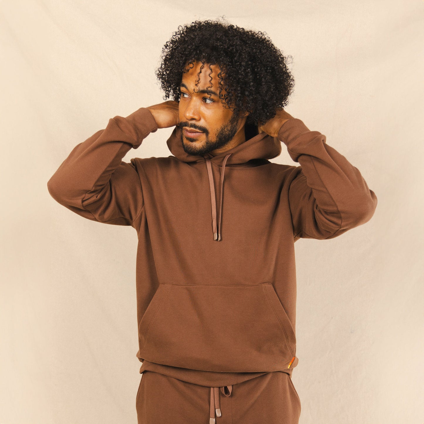 Shinesty Pullover Hoodie - Brown