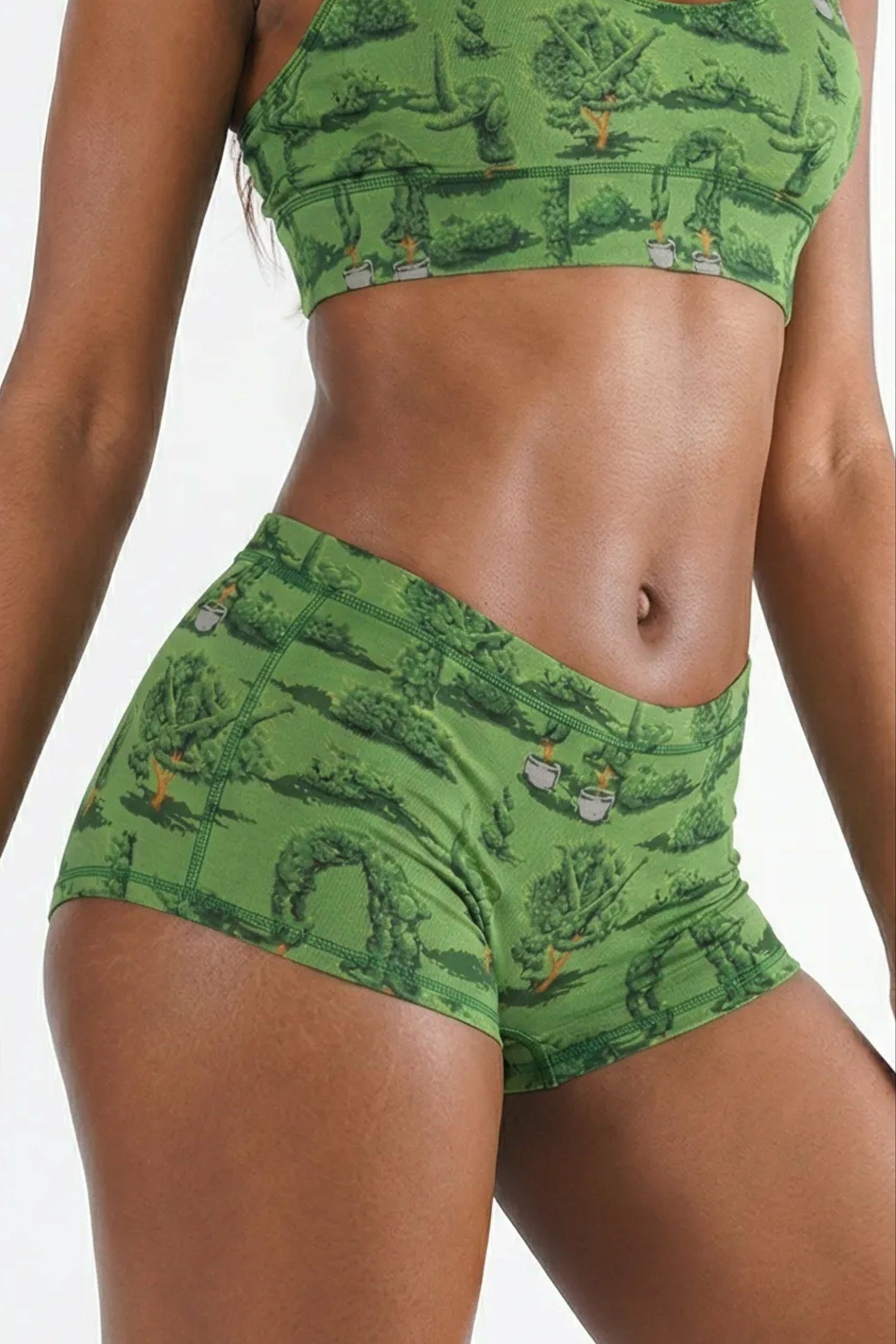 Shinesty Boyshort Underwear - Naughty Landscaping