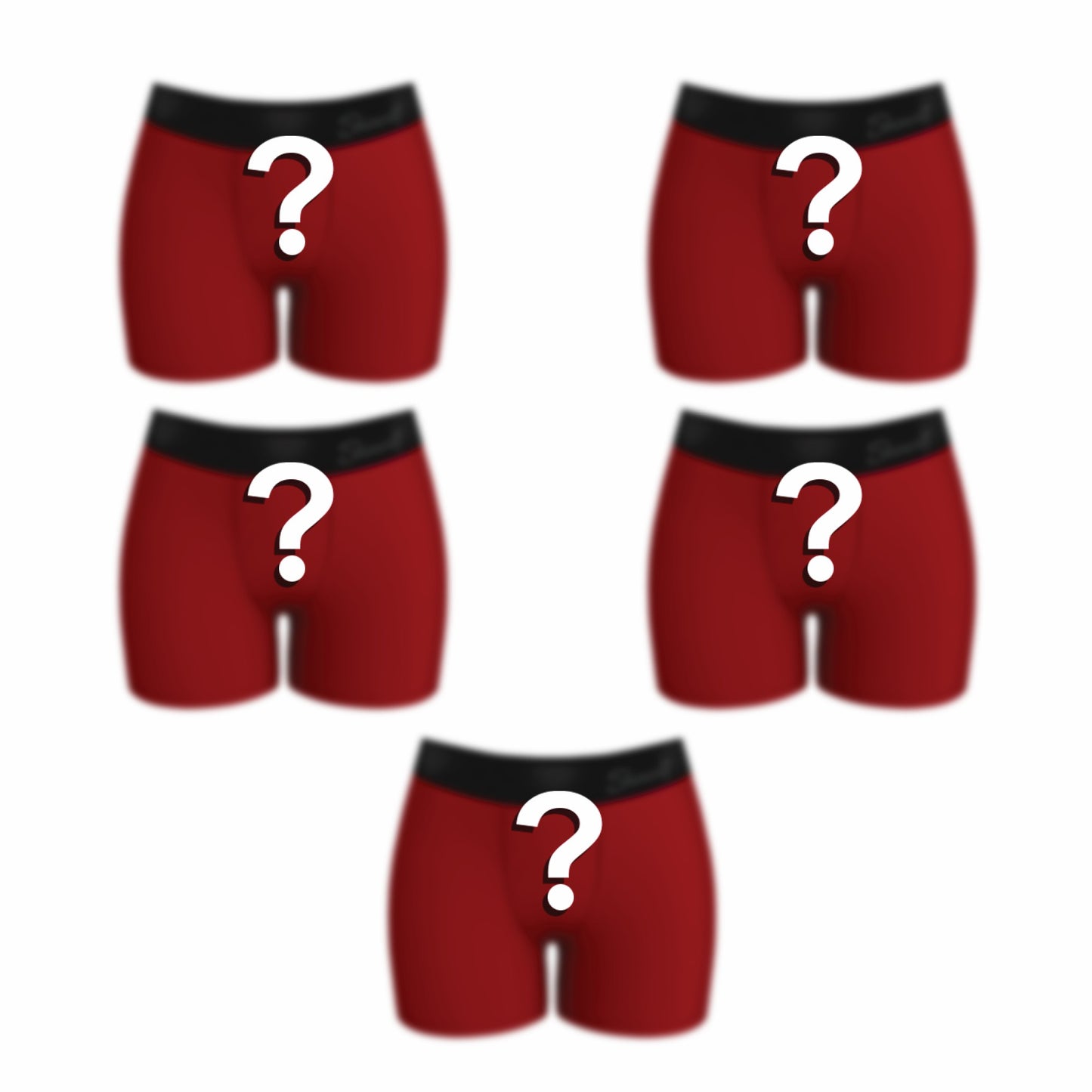 Shinesty WoBoxers Underwear 5 Pack - Mystery