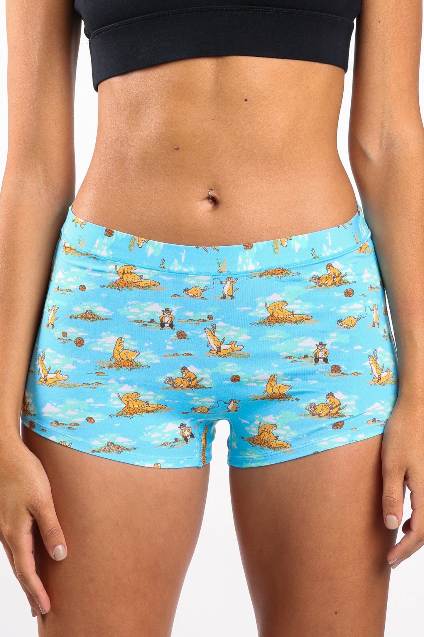 Shinesty Boyshort Underwear - Prairie Dog